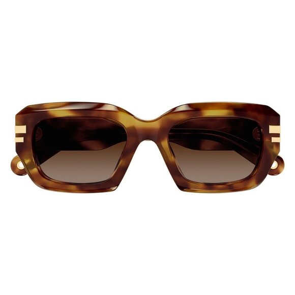 New CHLOE Havana Square CH0256S 002 Sunglasses Women - Picture 2 of 4